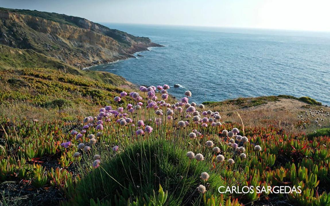 Blue Lighthouse Sesimbra 아파트 외부 사진