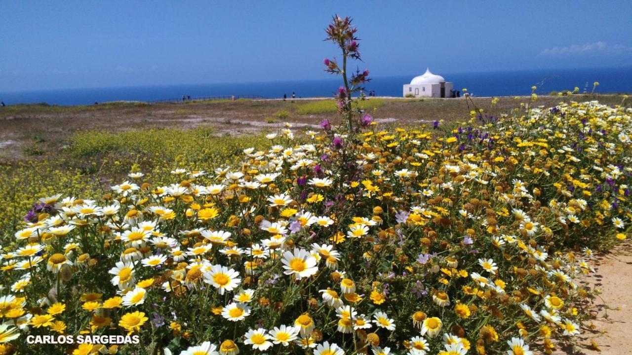 Blue Lighthouse Sesimbra 아파트 외부 사진
